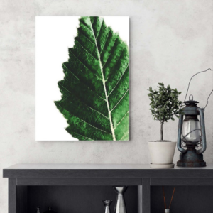 Wall Art Print R128