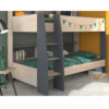 Modern Bunk Bed with Auxiliary Shelves and Built-in Ladder