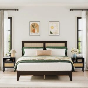 Aimara Queen – Model A650