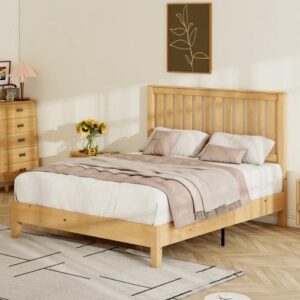Allare – Model A653